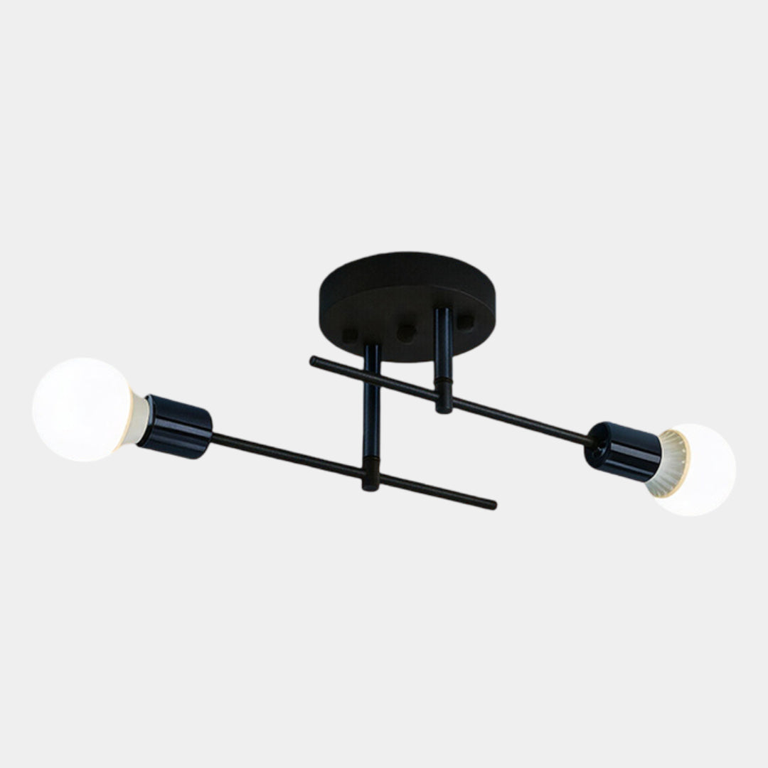 Modern 2-Light Flush Mount Ceiling Lamp