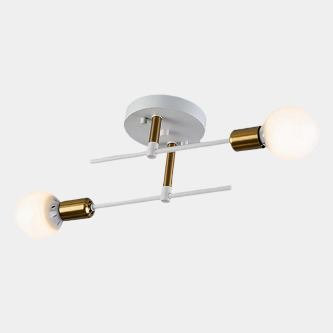 Modern 2-Light Flush Mount Ceiling Lamp