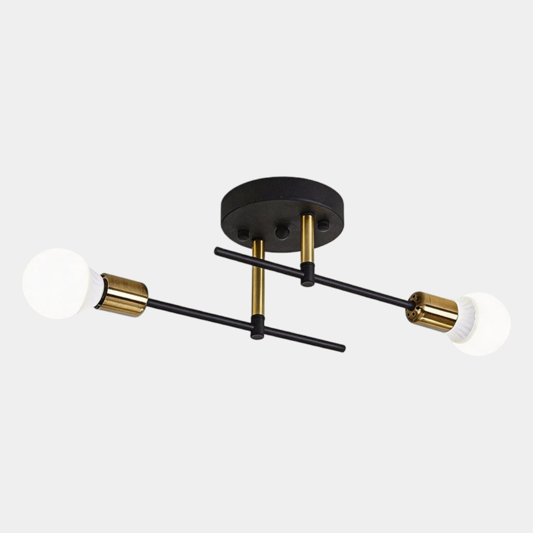 Modern 2-Light Flush Mount Ceiling Lamp