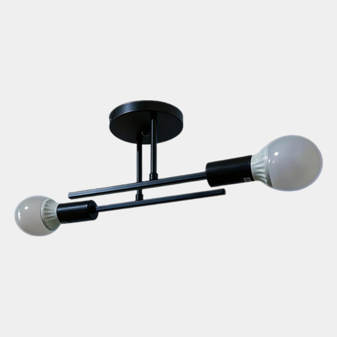 Modern 2-Light Flush Mount Ceiling Lamp