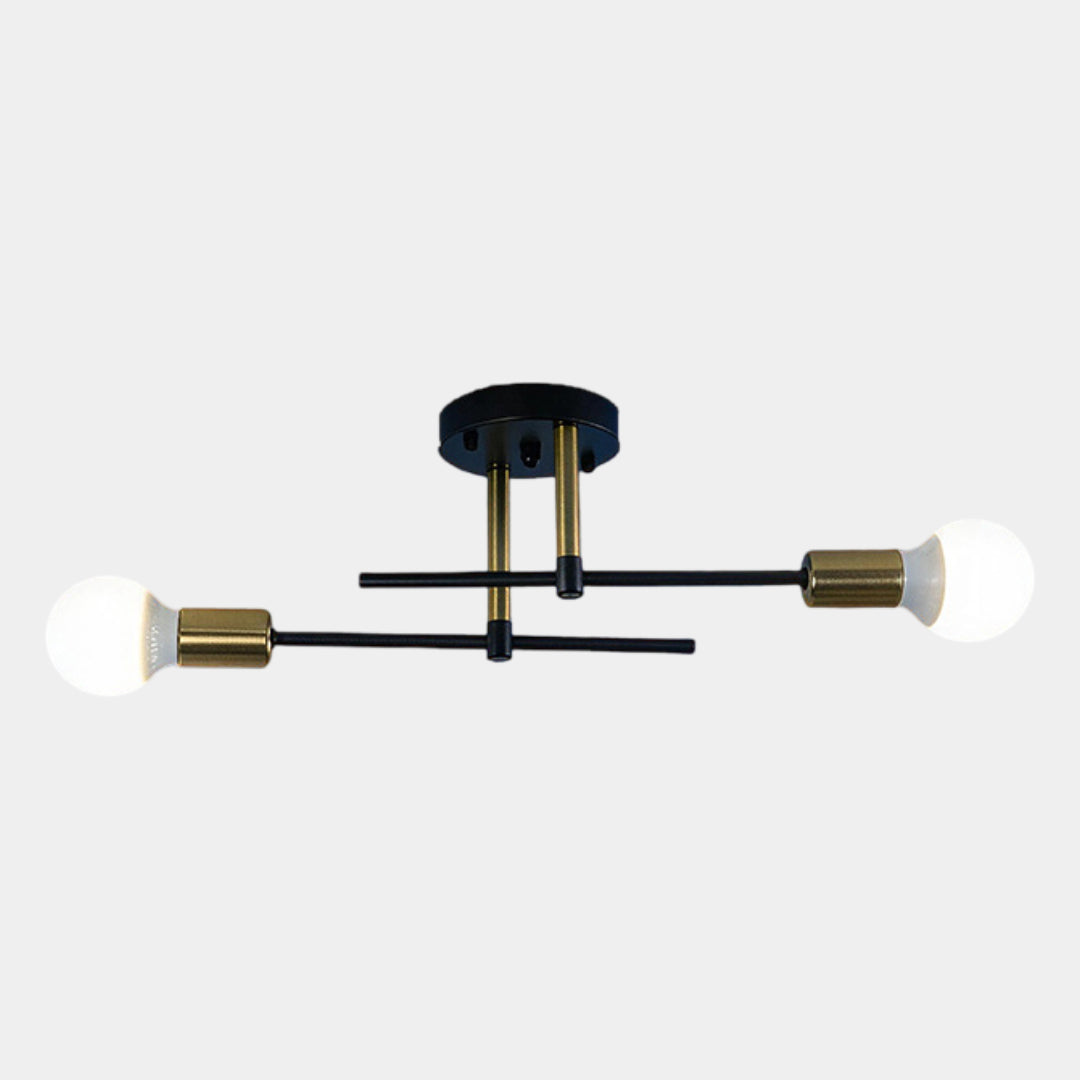 Modern 2-Light Flush Mount Ceiling Lamp